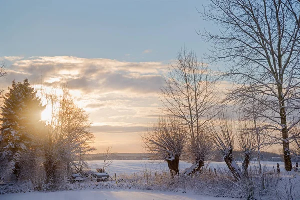 Nascer do sol em uma bela manhã de inverno no campo, paisagem rural com árvores nuas na neve, espaço de cópia — Fotografia de Stock