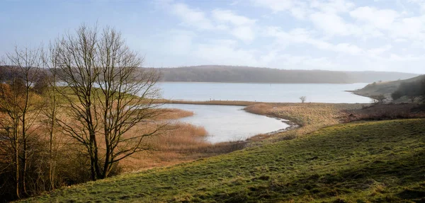 River Trave tidlig på våren med nakent tre og tørt rør nær Luebeck Dummersdorf ved Østersjøen, Tyskland, panoramisk bannerformat, kopiplass – stockfoto