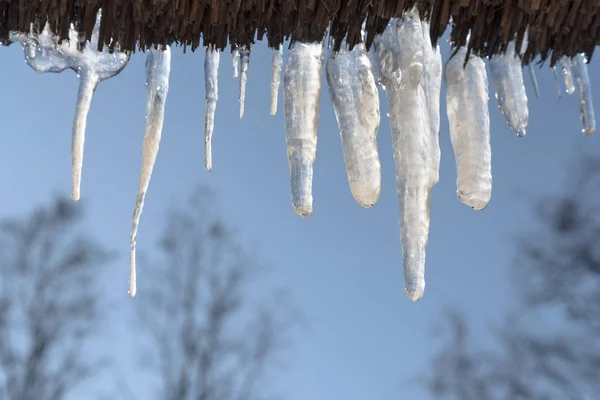 Tik carámbanos en un techo de paja contra el cielo azul en un día soleado de invierno, espacio de copia — Foto de Stock