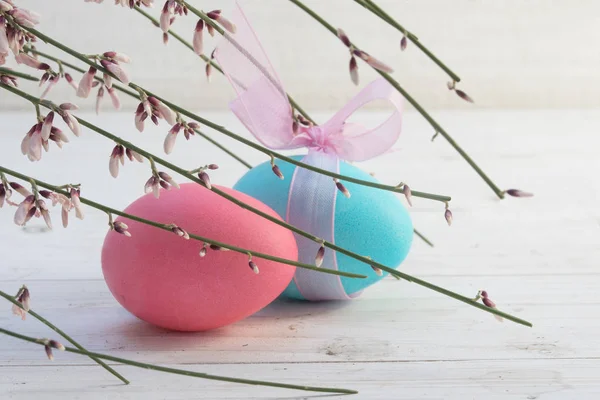 Decorazione pasquale, due uova in rosa pastello e blu in una scatola di legno con muschio e fiori genisti su legno verniciato bianco, spazio copia — Foto Stock