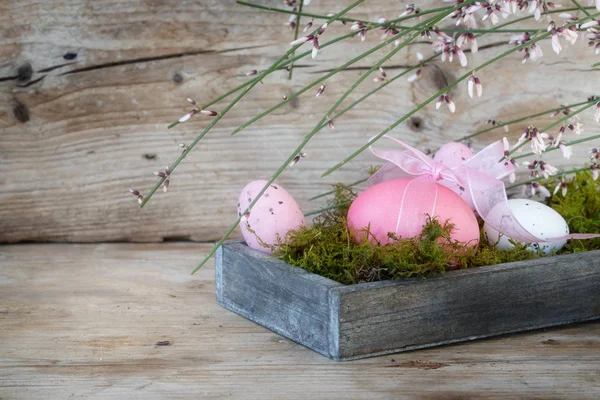 Růžový kraslic v dřevěné krabici pod kvetoucí genista nebo koště větev, jarní dekorace na rustikální dřevo, kopírovat prostor — Stock fotografie