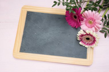 Üç gerbera çiçekleri pembe, kırmızı ve beyaz yazı yazı tahtası, pastel renkli arka plan, üstten Üstten Görünüm