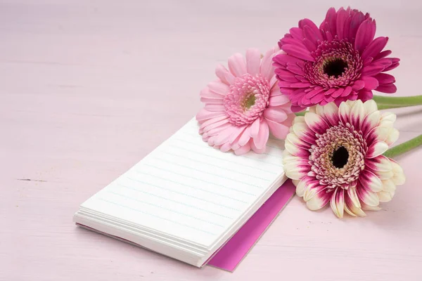 Drie gerbera's liggend op een schrijfblok, pastel roze gekleurde achtergrond met kopie ruimte, geselecteerde focus — Stockfoto