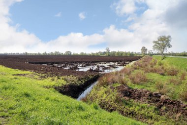 bog landscape with peat extraction under a blue sky in spring, Venner Moor, Lower Saxony, Germany, copy space clipart