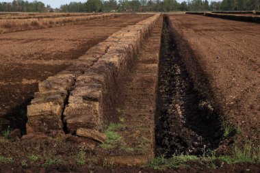 Endüstriyel turba ayıklama doğa imha Venner Moor, Aşağı Saksonya, Almanya bir yükseltilmiş bataklık peyzaj bir hendek ve kazıklı çim taşları,
