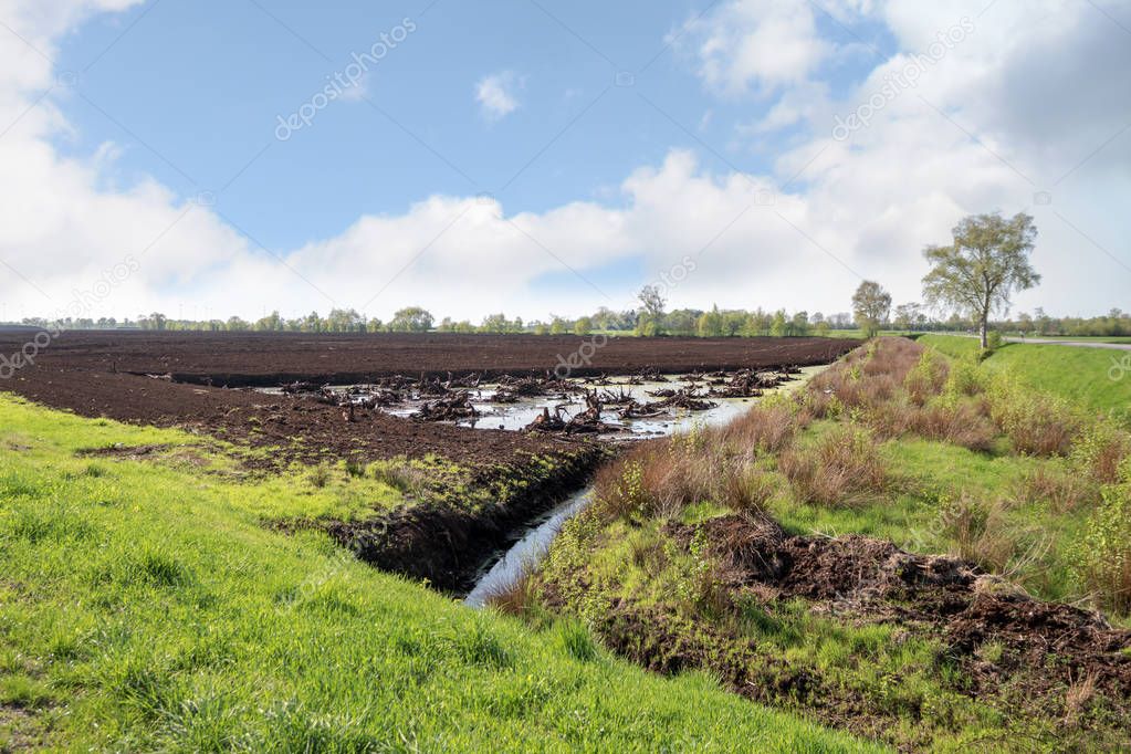 bog landscape with peat extraction under a blue sky in spring, Venner Moor, Lower Saxony, Germany, copy space