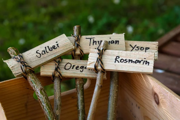 Δημιουργική ξύλινα φυτό δείκτες, χαρακτηρισμένα με Γερμανικά ονόματα για το φασκόμηλο, ρίγανη, θυμάρι, δεντρολίβανο και ysop για τον αγροτικό βότανο κήπο — Φωτογραφία Αρχείου