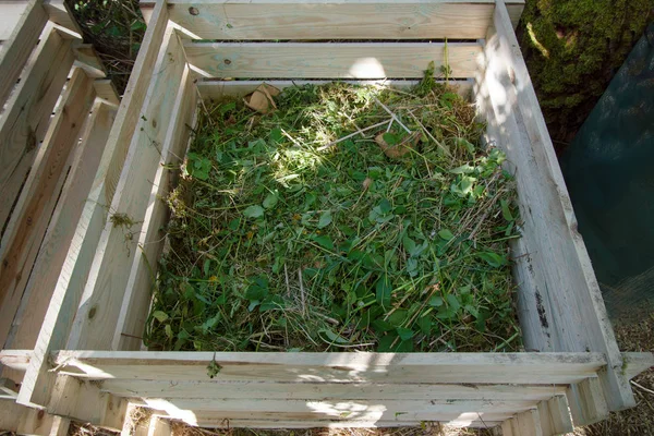 Bidone del compost di legno pieno di erbacce ed erba dal giardino — Foto Stock