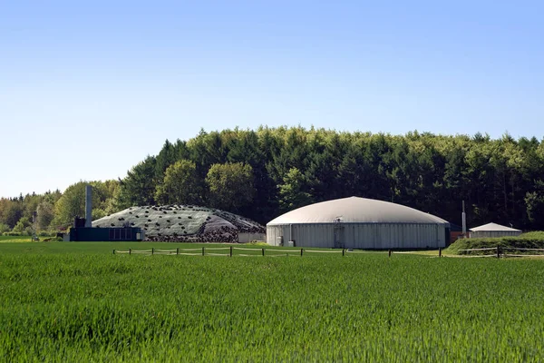 Impianto a biogas per energie rinnovabili in un campo antistante una foresta, cielo blu, spazio copia — Foto Stock