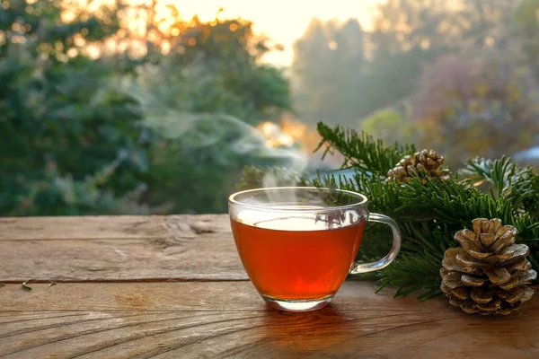 Té caliente en una taza de vidrio en una mesa de madera rústica al aire libre en el jardín en un hermoso día de otoño, concepto de salud contra el resfriado y la gripe, espacio para copiar — Foto de Stock