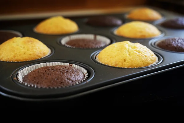 Gâteaux au cupcake noir et clair fraîchement cuits dans une boîte à muffins, fond noir, espace de copie — Photo