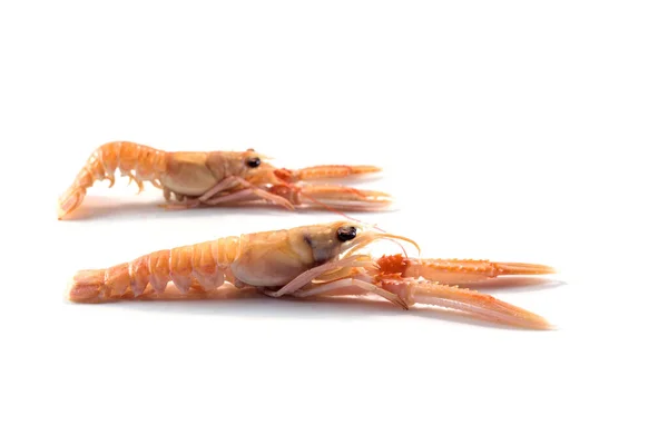 란 구스 틴 (langoustine) 이나 노르웨이 바닷가재 (Norway lobster) 라고도 불리는 두 마리의 새로운 암피는 흰색 배경 위에 격리 된 값비싼 해산물, 복사 공간이다. — 스톡 사진