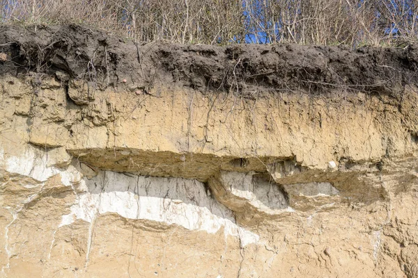 Warstwy gleby na skraju zniszczonego stromego klifu wybrzeża z drzewami na szczycie, na niemieckiej wyspie Poel koło Wismaru, Morze Bałtyckie, przestrzeń kopiująca — Zdjęcie stockowe