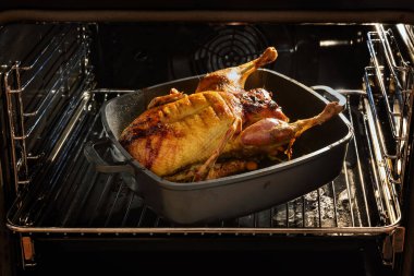 Fırına bak, bütün ördeği kızarttım. Neredeyse bir Noel menüsünde yemeye hazırım.