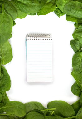 Taze ıspanak yapraklarından yapılmış çerçeve ve kopya alanı, beyaz arkaplan, yemek pişirme ve mutfak temaları için konsept, yukarıdan yüksek açılı üst görünüm içeren tarif veya alışveriş listesi için bir yazı defteri