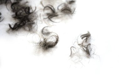 Tufts of black and grey curls after the hair cut on a white background, copy space