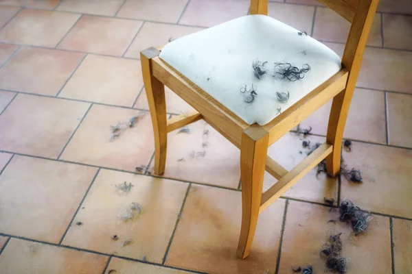 Touffes de cheveux noirs et gris boucles sur une chaise en bois et sur le sol à partir d'une coupe de cheveux auto-faite à la maison — Photo