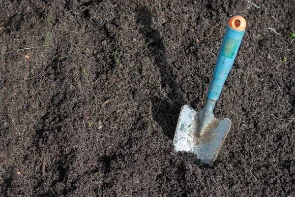 Planting Shovel Ground Gardening Preparation Bed Spring Time Sunny Day — 스톡 사진