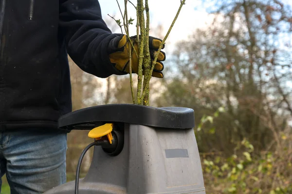 Uomo Sta Tagliando Rifiuti Potatura Con Trituratore Giardino Elettrico Ripulire — Foto Stock