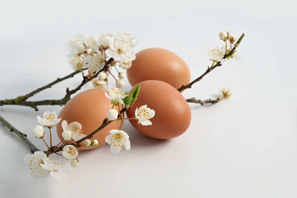 Tres Huevos Pascua Naturales Una Rama Ciruela Cereza Prunus Cerasifera — Foto de Stock