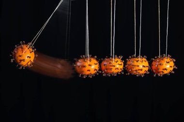 Newton's cradle with coronavirus made from tangerines peppered with cloves to illustrate how the infection is transmitted by contact, motion blur, black background with copy space clipart