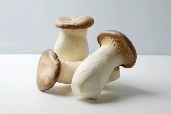 King Ústřice Houba Pleurotus Eryngii Bílém Kuchyňském Stole Kopírovací Prostor — Stock fotografie