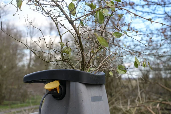 Chopping Old Branches Pruning Waste Electric Garden Shredder Selected Focus — Stock Photo, Image