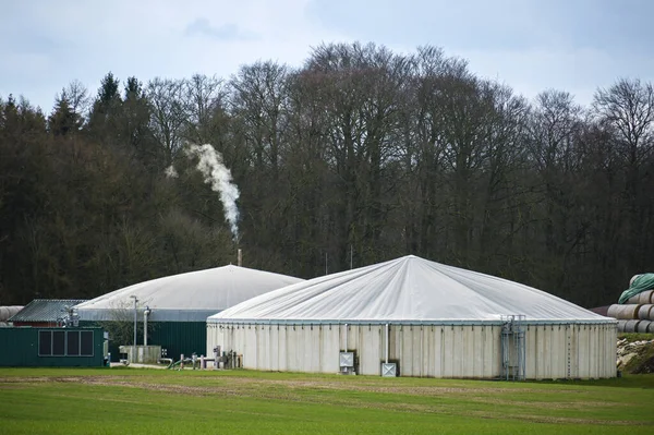 Usine Biogaz Avec Cheminée Fumante Bord Une Forêt Nue Ciel — Photo