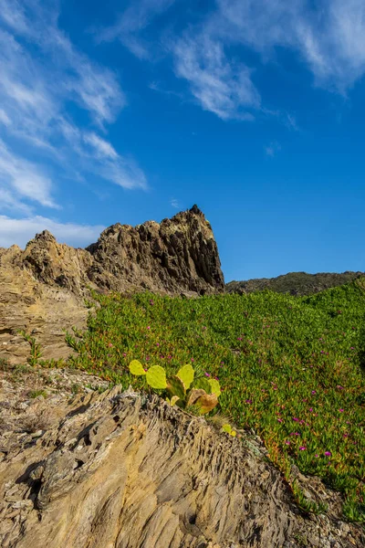 El Port de la Selva, Costa Brava, Catalonya, İspanya 'nın muhteşem kayalık kıyı şeridi