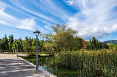 Banyoles parkında, Banyoles, Girona, Katalonya ve İspanya 'nın yakınlarındaki küçük, vahşi ördeklerin olduğu güzel bir göl.