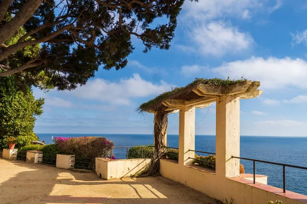 Barselona dışındaki Blanes, İspanya 'daki Marimurtra botanik bahçelerinden bir parça..