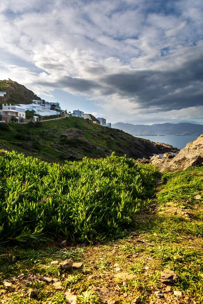 El Port de la Selva 'daki Rocky kıyı şeridi, Costa Brava, İspanya
