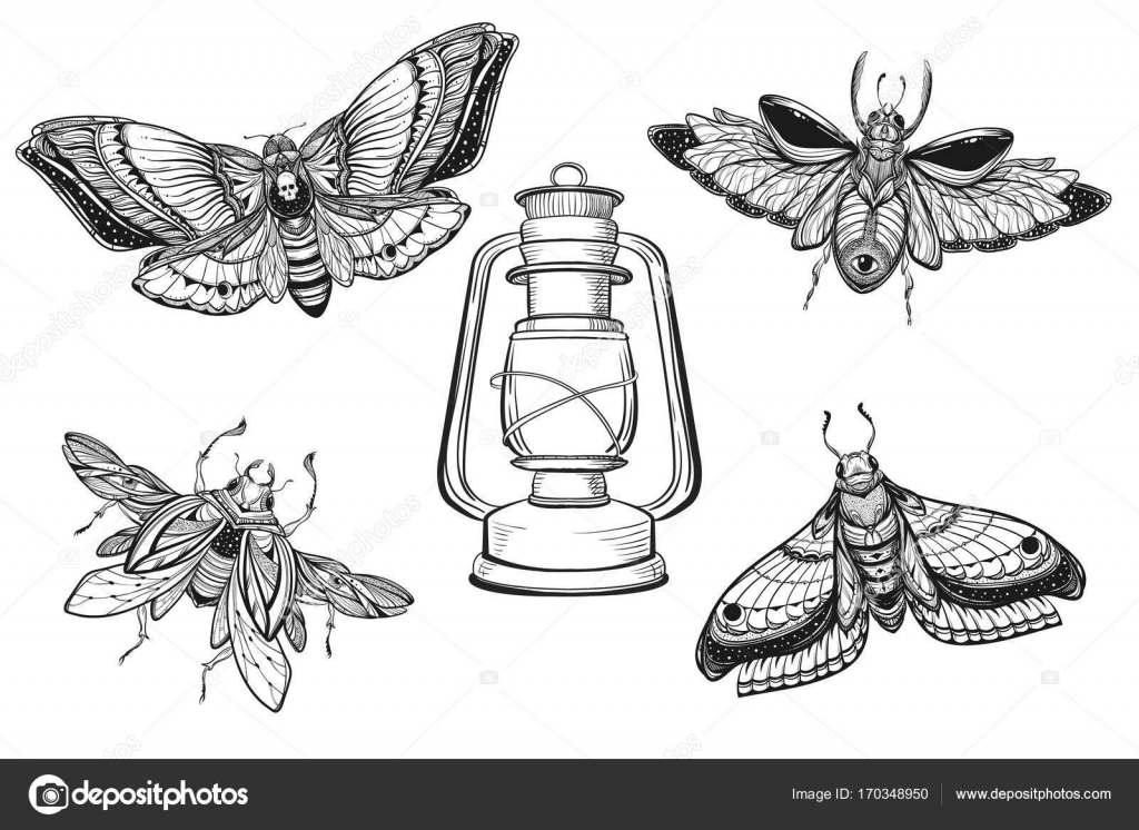 Lantern tattoo drawing | Beetle bug tattoo with lantern drawing set
