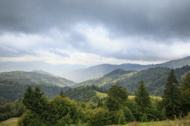 Ladin ve dağlar manzara