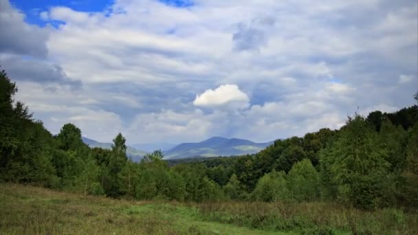 Timelapse på en Green Mountain Glade — Stockvideo