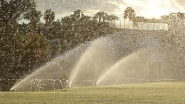 Sprinkles Watering The Lawn — Stock Video