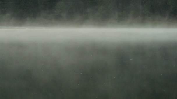 Туман над озером — стоковое видео