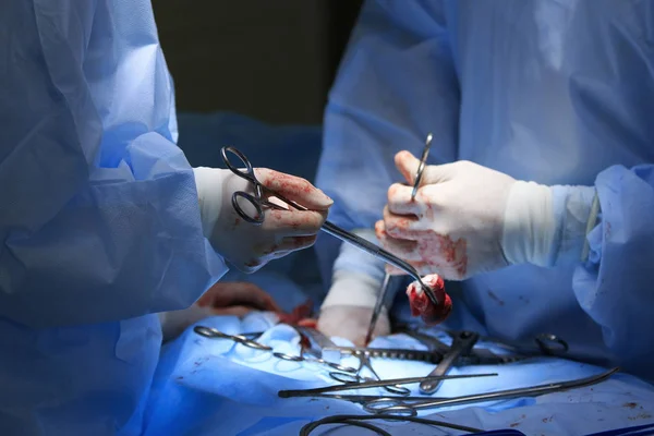 Cerrah tutar kelepçe ile kan