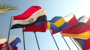 birçok ülke bayrakları sallayarak