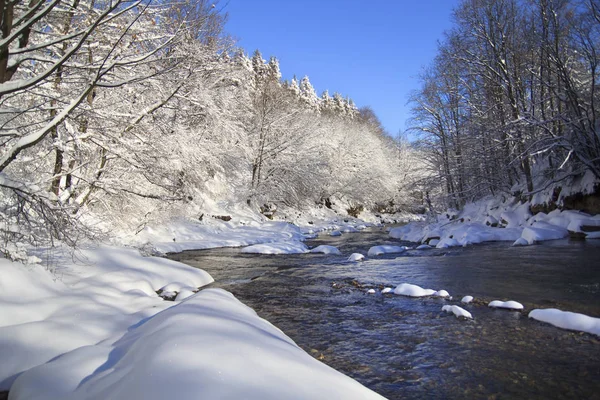 Snowy orman Nehri ile kış manzarası