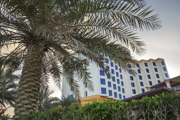 Palmiye ve bir bina — Stok fotoğraf