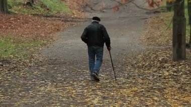 Bir sopayla yaşlı adam uzak düşmüş bir yeşillik ile sonbahar bir parkta yoluna (720 p, 25 fps yürüyor)