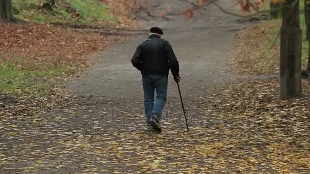 Vecchio Con Bastone Allontana Parco Autunnale Con Fogliame Caduto Sul — Video Stock