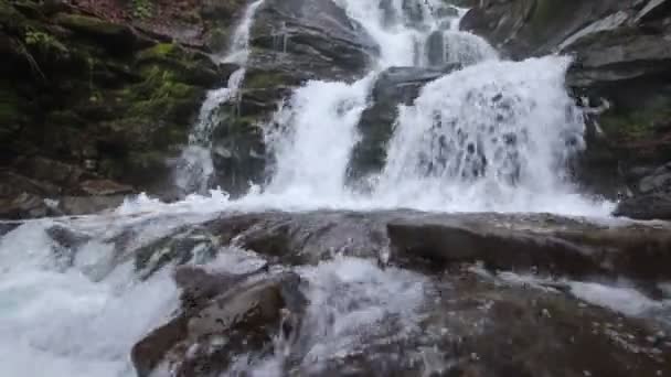 Potężny Strumień Łkanie Wodospad Karpatach Ukraina Małym Kącie Nad Wodą — Wideo stockowe