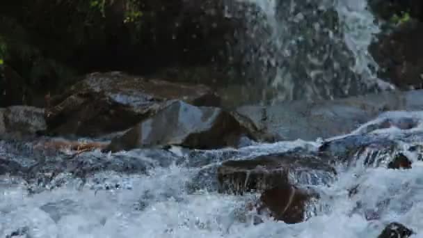 Close Rapids Wody Kamieni Spadającej Wody Podłoże 1080P Klatek Sekundę — Wideo stockowe