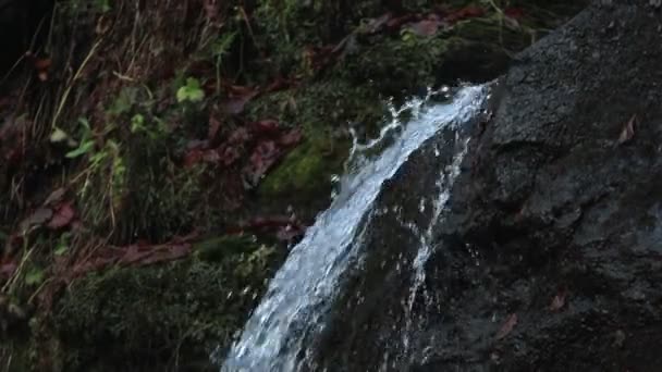 Fluxos Jato Água Para Baixo Pedra Cachoeira Dos Cárpatos Close — Vídeo de Stock