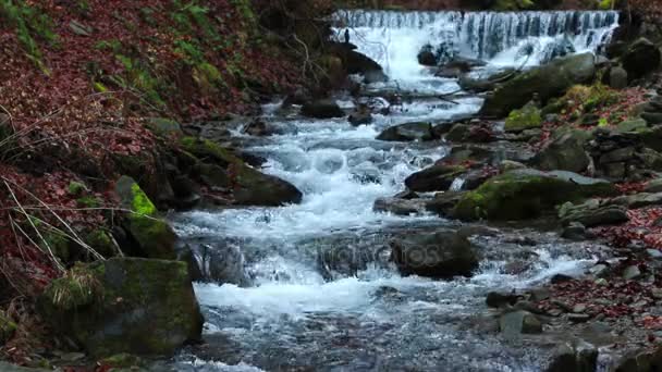 Water Stream Whisper Waterfall Ukrainian Carpathians 1080P 25Fps Sound — Stock Video