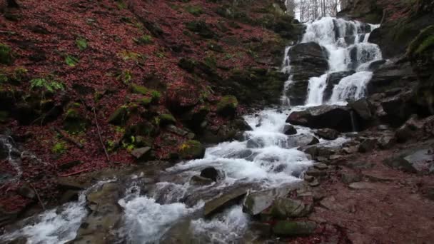 Whimper Cachoeira Pedregosa Outono Com Folhagem Caída Vermelha Encostas Cárpatos — Vídeo de Stock
