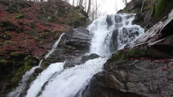 Kaskada Wodospadu Karpatach Jesienią Pan 1080P Klatek Sekundę Dźwięk — Wideo stockowe
