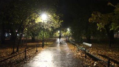Kız gece parkta tek başına dolaşır (4k, 25fps)